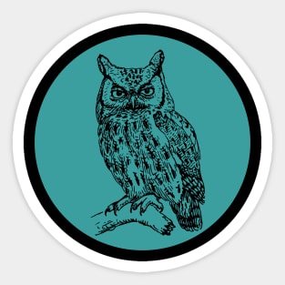 Halloween Owl, Portents, Omens, Signs, and Fortunes - Teal and Black Style Sticker